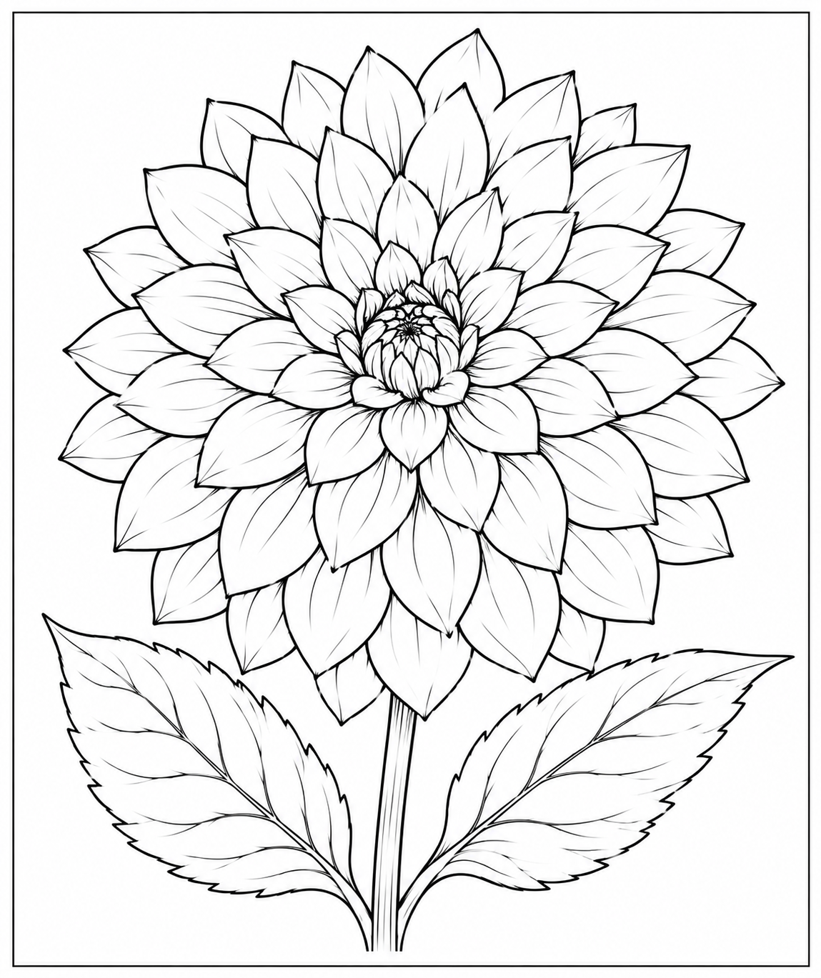 Symmetrical dahlia illustration for coloring Coloring Page — Free Printable — free printable coloring page